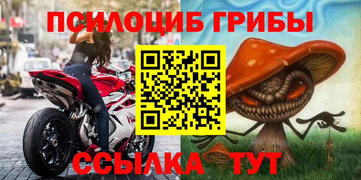 Псилоцибиновые грибы Psilocybe Курчатов