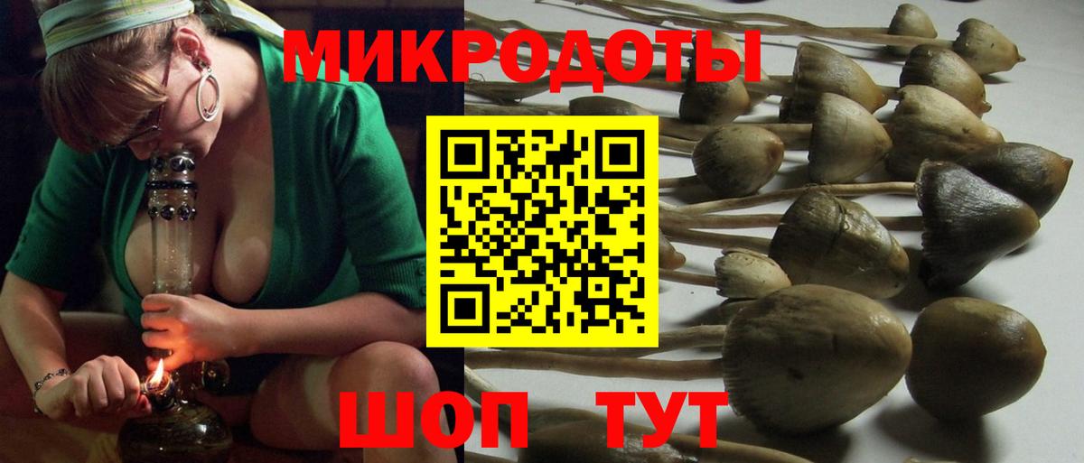 Курчатов  Псилоцибиновые грибы прущие грибы  Вход с VPN 